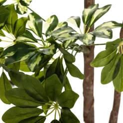 ATMOSPHERA Schefflera artificiel Outlet