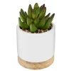 ATMOSPHERA Succulente artificielle