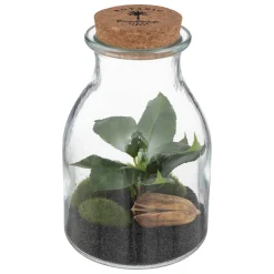 ATMOSPHERA Terrarium "Bota", verre Hot