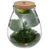 ATMOSPHERA Terrarium "Bota", verre Best