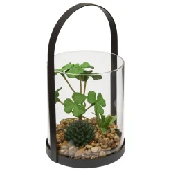 ATMOSPHERA Terrarium "Wilo" Outlet
