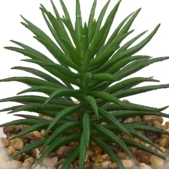 ATMOSPHERA Terrarium 