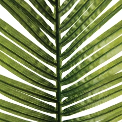 ATMOSPHERA Tige de palmier artificiel Best