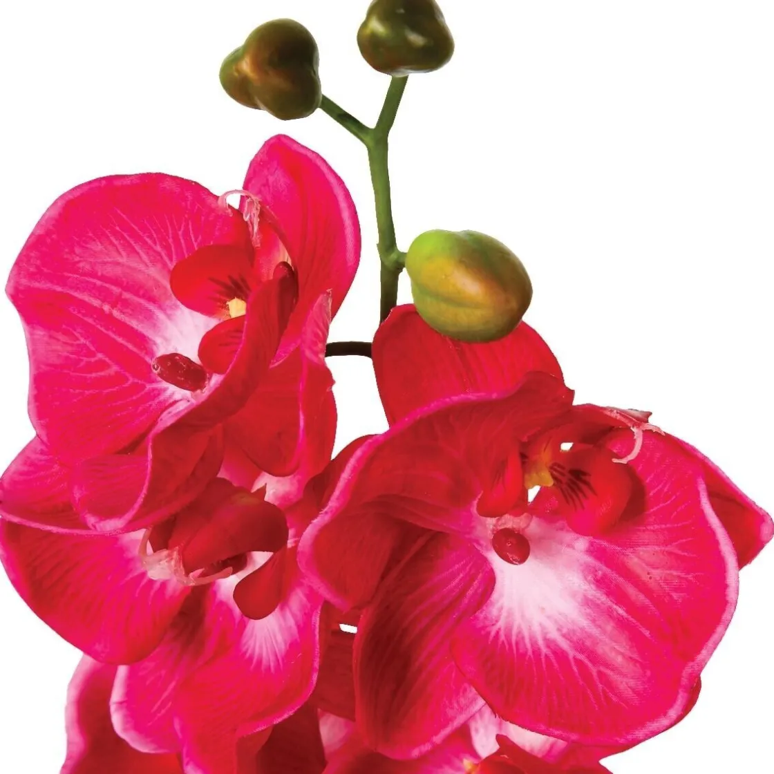 ATMOSPHERA Tige d'orchidée artificielle Discount