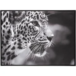 ATMOSPHERA Toile encadrée "Animaux" Clearance