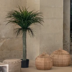 ATMOSPHERA Yucca artificiel "Tropiques" Hot