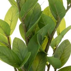 ATMOSPHERA Zamio artificiel New